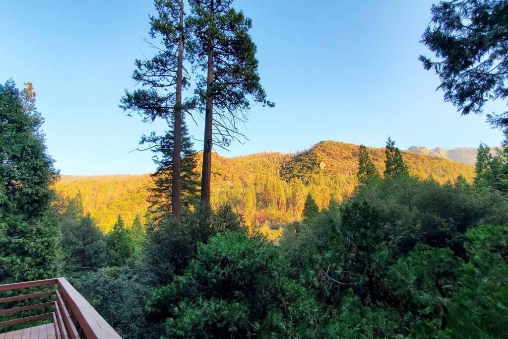Redwood Retreat, Mountains, Adventure And Nature Ponderosa Exteriör bild