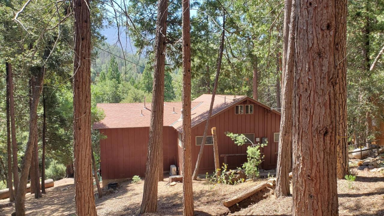 Redwood Retreat, Mountains, Adventure And Nature Ponderosa Exteriör bild