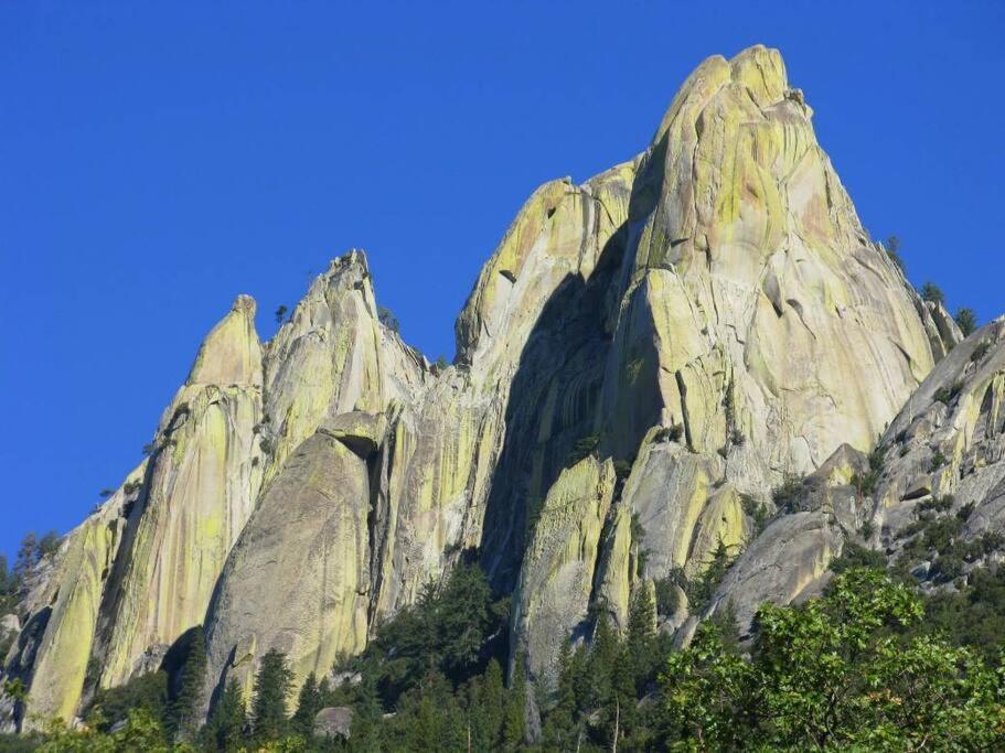 Redwood Retreat, Mountains, Adventure And Nature Ponderosa Exteriör bild