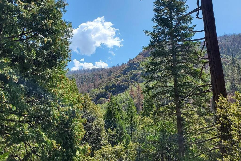 Redwood Retreat, Mountains, Adventure And Nature Ponderosa Exteriör bild