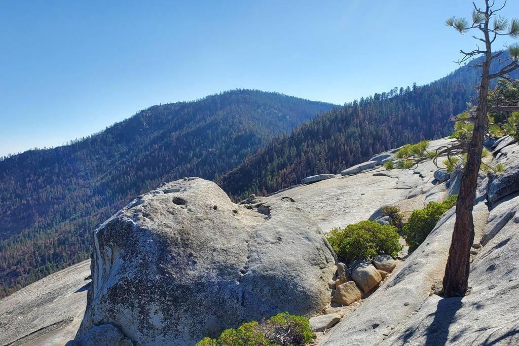 Redwood Retreat, Mountains, Adventure And Nature Ponderosa Exteriör bild