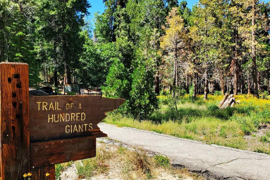 Redwood Retreat, Mountains, Adventure And Nature Ponderosa Exteriör bild