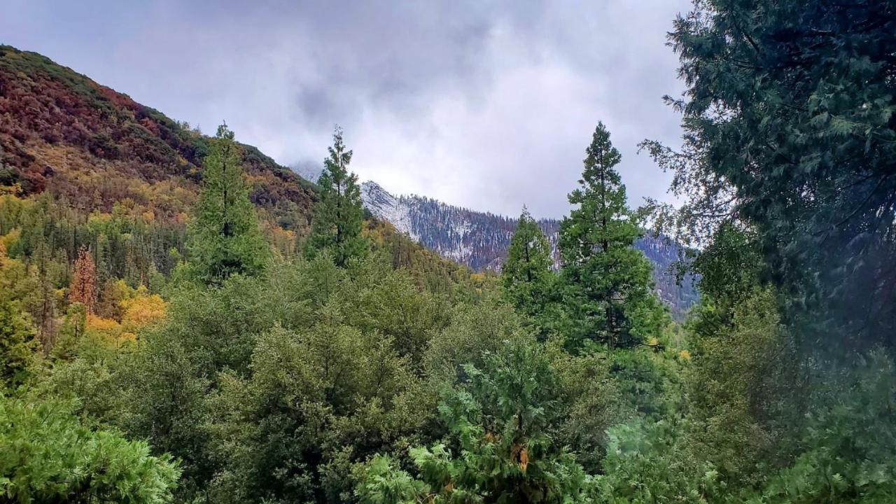 Redwood Retreat, Mountains, Adventure And Nature Ponderosa Exteriör bild