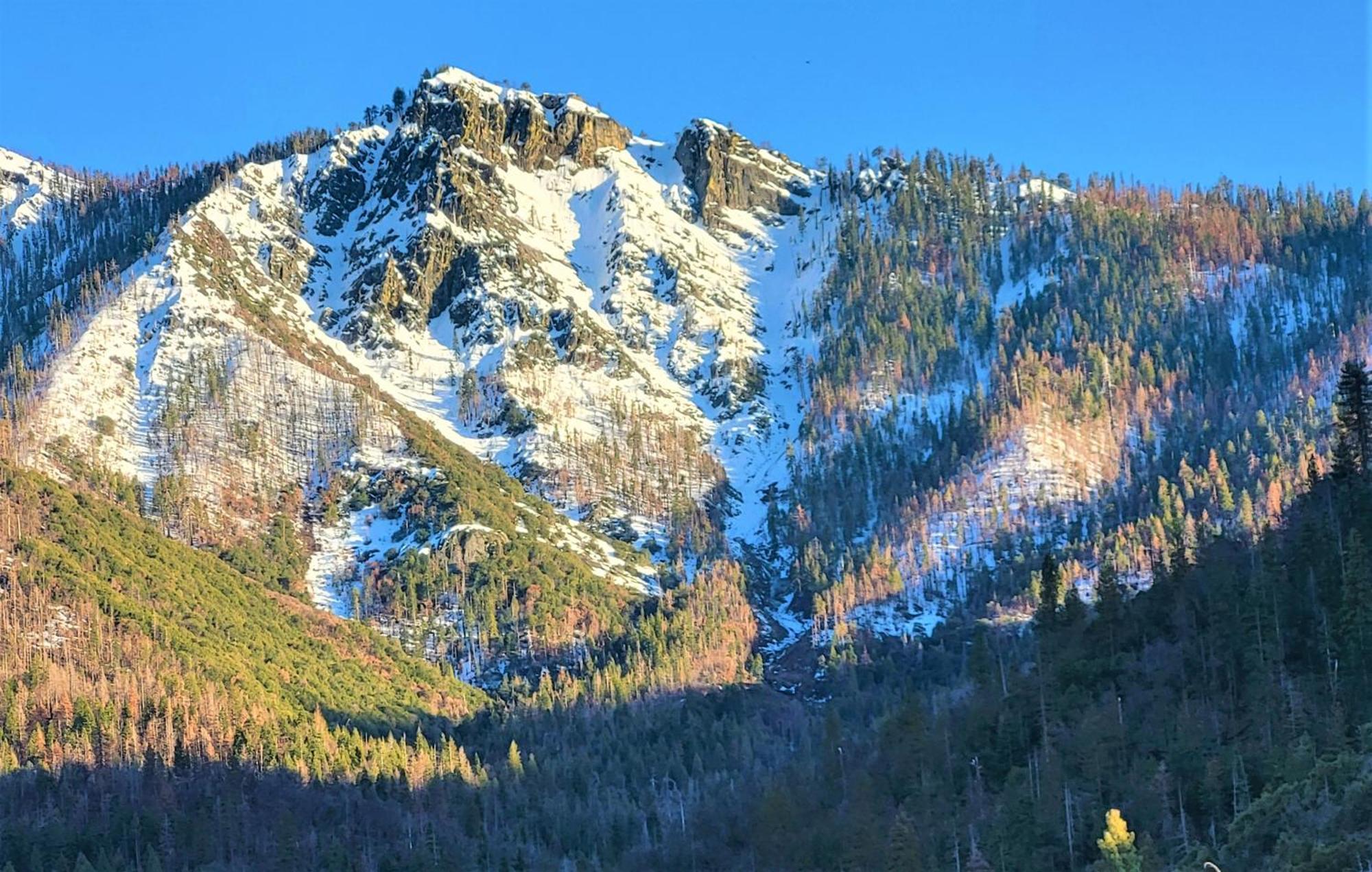 Redwood Retreat, Mountains, Adventure And Nature Ponderosa Exteriör bild